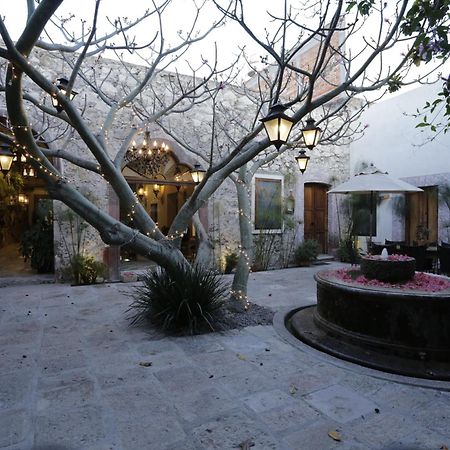 Orchid House Альенде Экстерьер фото