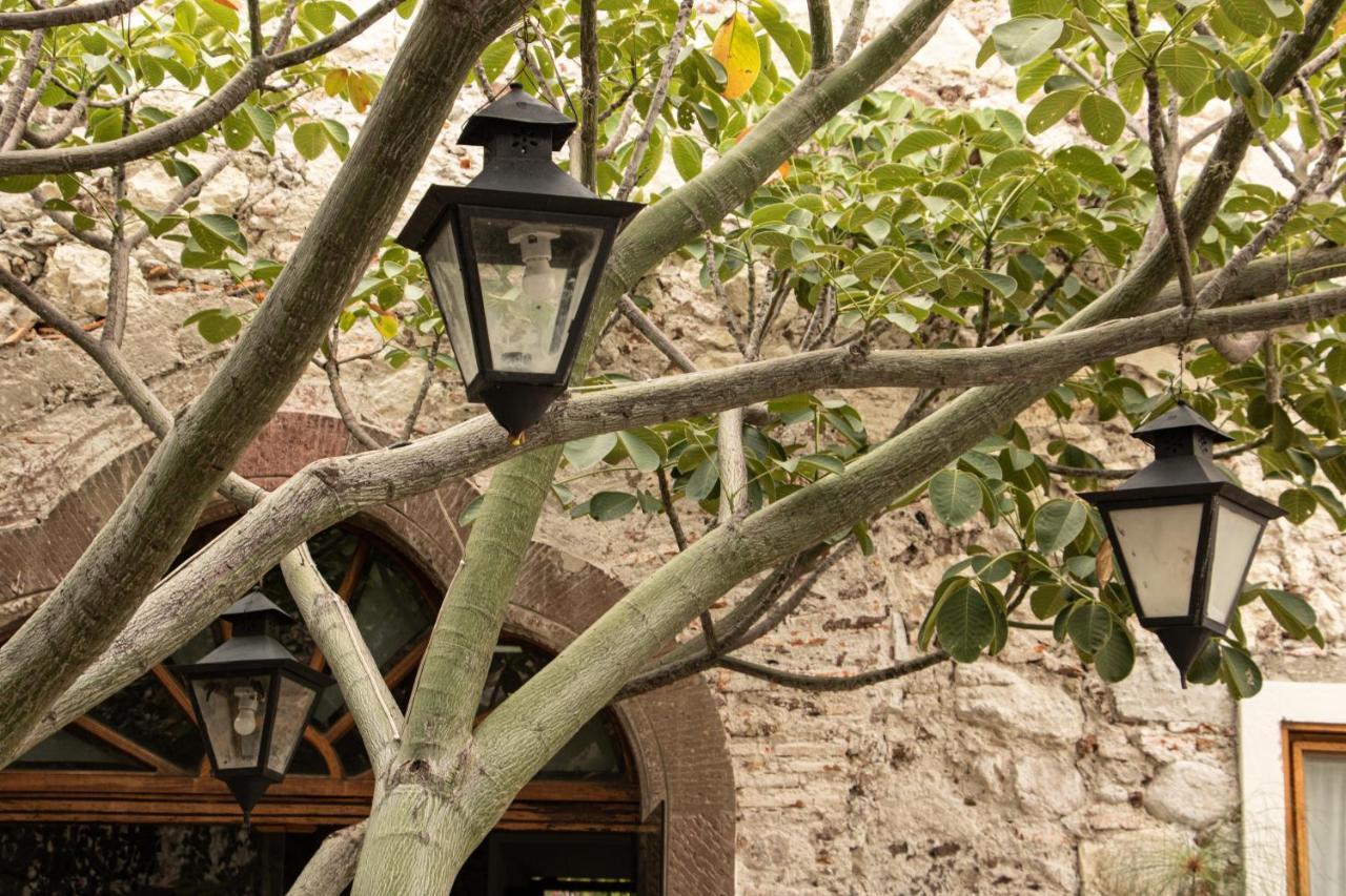 Orchid House Альенде Экстерьер фото