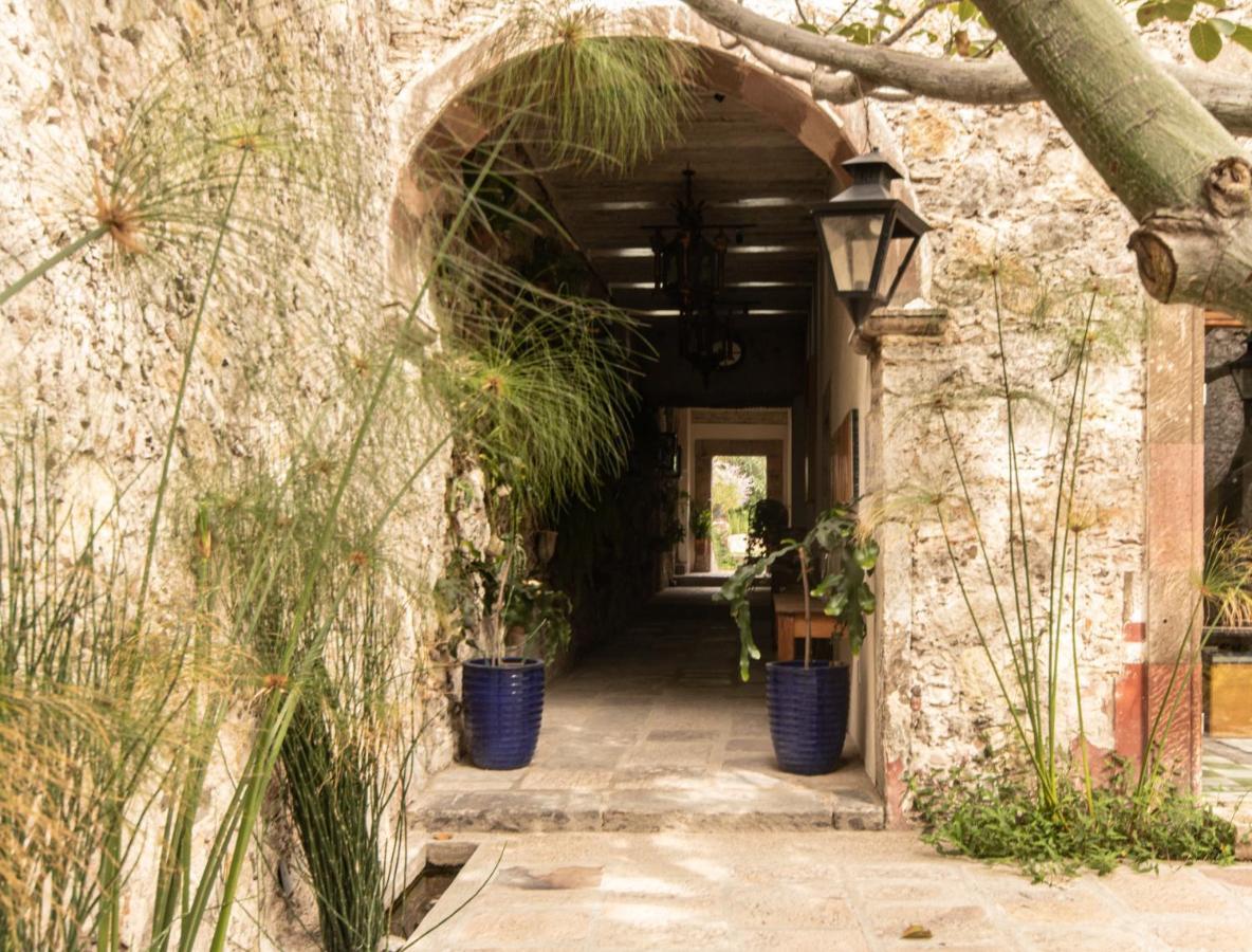 Orchid House Альенде Экстерьер фото