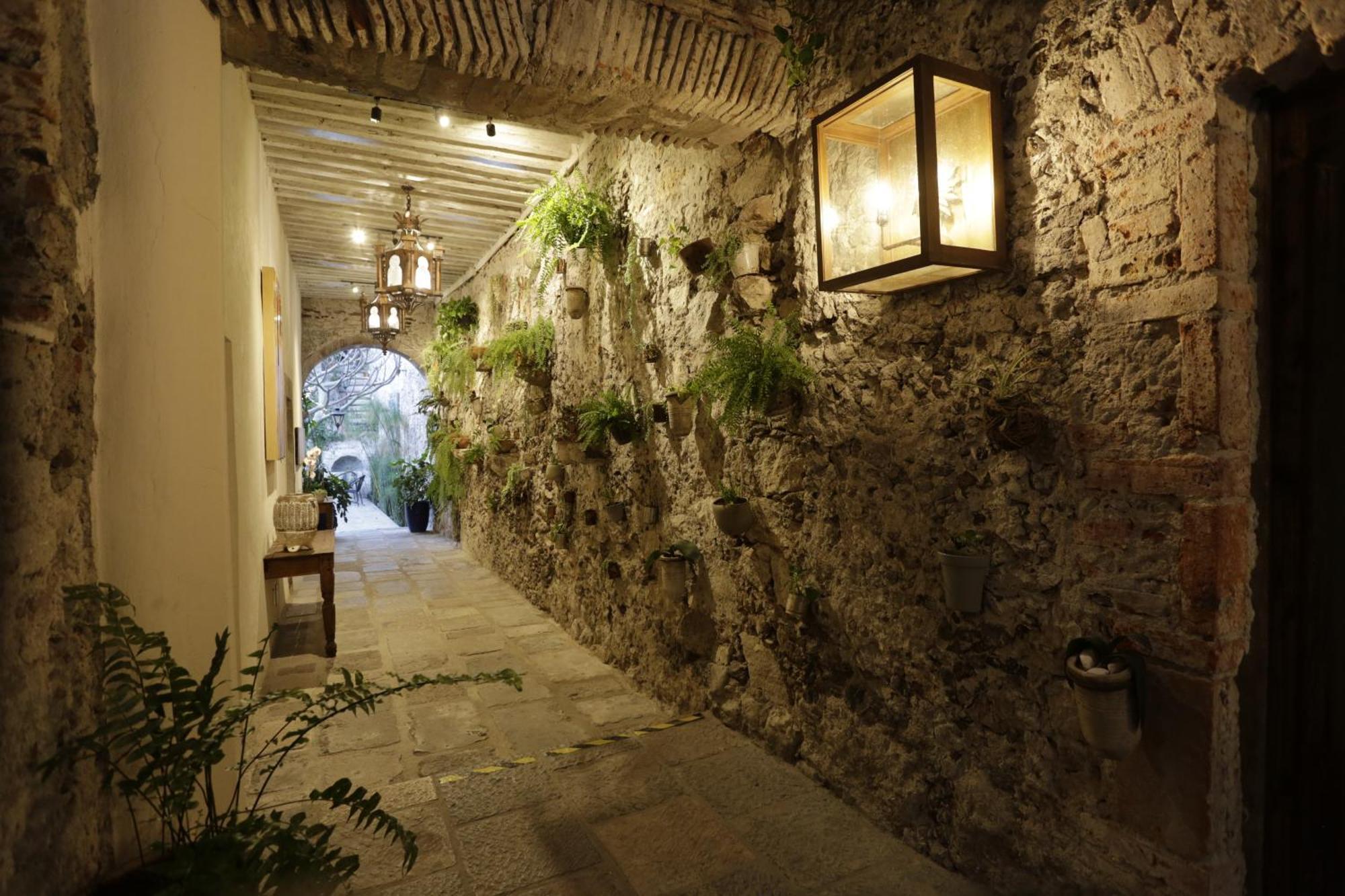 Orchid House Альенде Экстерьер фото