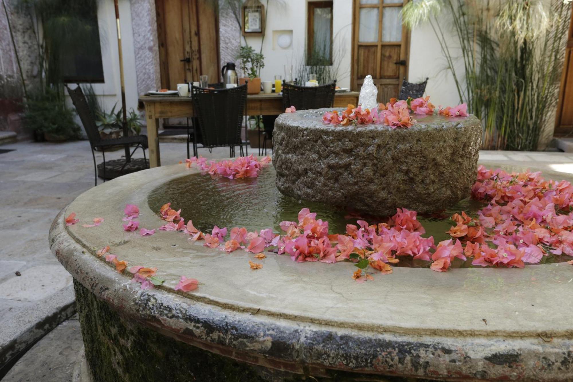 Orchid House Альенде Экстерьер фото