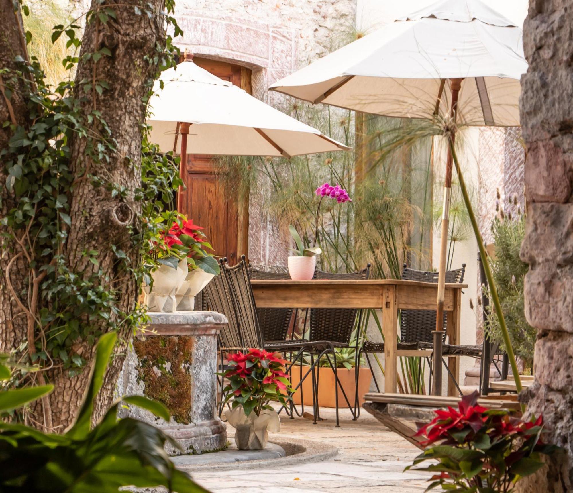 Orchid House Альенде Экстерьер фото